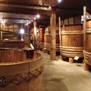 ヒメ日記 2025/11/21 18:50 投稿 いずみ 奥鉄オクテツ大阪