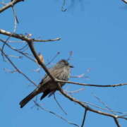 ヒメ日記 2025/12/29 09:40 投稿 いずみ 奥鉄オクテツ大阪
