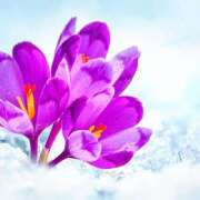 ヒメ日記 2026/01/28 18:55 投稿 いずみ 奥鉄オクテツ大阪