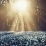 いずみ おはようございます 奥鉄オクテツ大阪