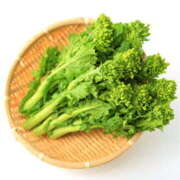 いずみ おはようございます 奥鉄オクテツ大阪