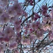 ヒメ日記 2025/03/31 21:52 投稿 かぐや ラブハーレム(水戸)