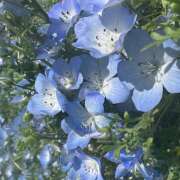 ヒメ日記 2025/05/03 20:36 投稿 かぐや ラブハーレム(水戸)