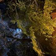 ヒメ日記 2025/05/11 21:56 投稿 かぐや ラブハーレム(水戸)