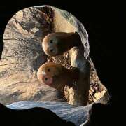 ヒメ日記 2025/05/29 15:51 投稿 かぐや ラブハーレム(水戸)