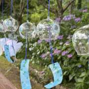 ヒメ日記 2025/07/11 00:07 投稿 かぐや ラブハーレム(水戸)