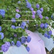 ヒメ日記 2025/07/15 15:53 投稿 かぐや ラブハーレム(水戸)