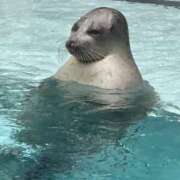 ヒメ日記 2025/10/12 10:04 投稿 かぐや ラブハーレム(水戸)