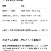ドⓂ･わーるど 私のお友達♡♡ お客様満足度NO.1デリヘル！ 秘密倶楽部 凛 千葉
