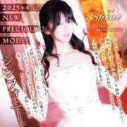 ヒメ日記 2025/03/20 16:27 投稿 しの☆ CLUB PIAA