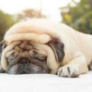 ヒメ日記 2025/07/07 19:42 投稿 らん エンブレイス　ダイヤモンド