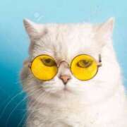 ヒメ日記 2025/07/08 08:29 投稿 らん エンブレイス　ダイヤモンド