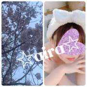 ヒメ日記 2025/03/25 17:27 投稿 愛羅-あいら【FG系列】 ほんつま 町田/相模原店