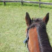 穂波のあ☆ 出勤🐎🩵 ESTE ALLURE