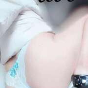 ヒメ日記 2024/12/11 10:04 投稿 あおい 元町奥さま