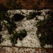 ヒメ日記 2025/03/05 04:24 投稿 浅倉 錦糸町おかあさん