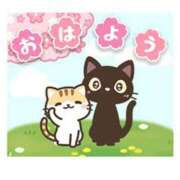 ヒメ日記 2025/04/04 06:09 投稿 浅倉 錦糸町おかあさん