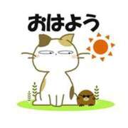 ヒメ日記 2025/04/22 04:27 投稿 浅倉 錦糸町おかあさん