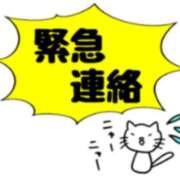 ヒメ日記 2025/06/09 12:01 投稿 浅倉 錦糸町おかあさん