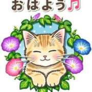 ヒメ日記 2025/08/29 08:20 投稿 浅倉 錦糸町おかあさん