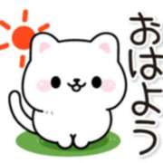 ヒメ日記 2025/07/31 06:33 投稿 浅倉 西船橋おかあさん