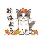 ヒメ日記 2025/11/21 08:06 投稿 浅倉 西船橋おかあさん