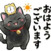 ヒメ日記 2026/05/15 08:13 投稿 浅倉 西船橋おかあさん