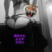 ヒメ日記 2025/02/19 15:34 投稿 さつき ARIEL（アリエル）（宮崎）