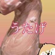 ヒメ日記 2025/03/17 10:09 投稿 さつき ARIEL（アリエル）（宮崎）