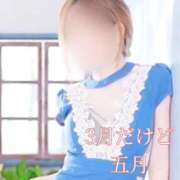 ヒメ日記 2025/03/21 10:24 投稿 さつき ARIEL（アリエル）（宮崎）