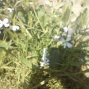 ヒメ日記 2025/04/13 20:34 投稿 さつき ARIEL（アリエル）（宮崎）