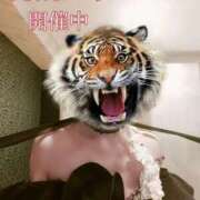 ヒメ日記 2025/04/21 21:44 投稿 さつき ARIEL（アリエル）（宮崎）