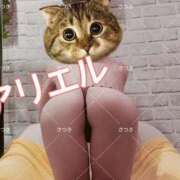 ヒメ日記 2025/04/22 10:19 投稿 さつき ARIEL（アリエル）（宮崎）