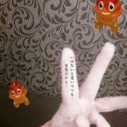 ヒメ日記 2025/04/29 10:24 投稿 さつき ARIEL（アリエル）（宮崎）