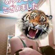 ヒメ日記 2025/05/24 19:04 投稿 さつき ARIEL（アリエル）（宮崎）