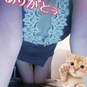 ヒメ日記 2025/05/28 21:14 投稿 さつき ARIEL（アリエル）（宮崎）