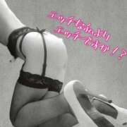 ヒメ日記 2025/06/19 10:14 投稿 さつき ARIEL（アリエル）（宮崎）