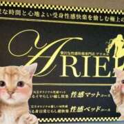 ヒメ日記 2025/07/13 09:44 投稿 さつき ARIEL（アリエル）（宮崎）