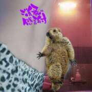 ヒメ日記 2025/07/22 20:14 投稿 さつき ARIEL（アリエル）（宮崎）