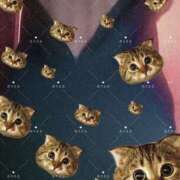 ヒメ日記 2025/07/28 21:34 投稿 さつき ARIEL（アリエル）（宮崎）