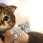 ヒメ日記 2025/08/10 20:54 投稿 さつき ARIEL（アリエル）（宮崎）