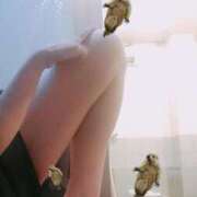 ヒメ日記 2025/08/24 19:34 投稿 さつき ARIEL（アリエル）（宮崎）