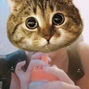 ヒメ日記 2025/09/07 10:04 投稿 さつき ARIEL（アリエル）（宮崎）