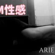 ヒメ日記 2025/09/16 21:04 投稿 さつき ARIEL（アリエル）（宮崎）