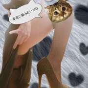 ヒメ日記 2025/12/09 10:19 投稿 さつき ARIEL（アリエル）（宮崎）