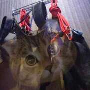 ヒメ日記 2025/12/11 10:39 投稿 さつき ARIEL（アリエル）（宮崎）