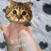 ヒメ日記 2025/12/11 20:45 投稿 さつき ARIEL（アリエル）（宮崎）