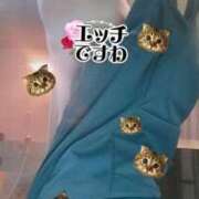 ヒメ日記 2025/12/16 10:17 投稿 さつき ARIEL（アリエル）（宮崎）