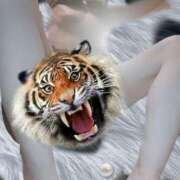 ヒメ日記 2025/12/20 20:53 投稿 さつき ARIEL（アリエル）（宮崎）