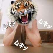 ヒメ日記 2025/12/23 13:36 投稿 さつき ARIEL（アリエル）（宮崎）